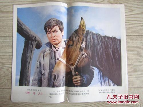 拳师证书